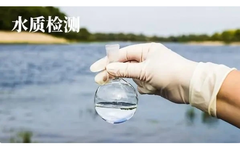 上海市市場監(jiān)督管理局關(guān)于發(fā)布上海市地方污染物排放標準《水產(chǎn)養(yǎng)殖尾水排放標準》的公告